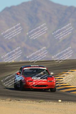 media/Oct-14-2023-Lucky Dog Racing (Sat) [[cef75db616]]/Turn 12 (345pm)/